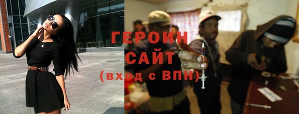 сатива Бородино