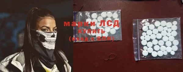 сатива Бородино