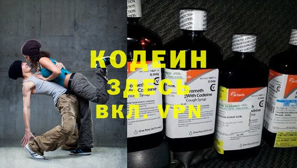 сатива Бородино