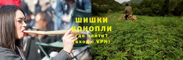 сатива Бородино